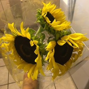 Meet your Posher, Casey